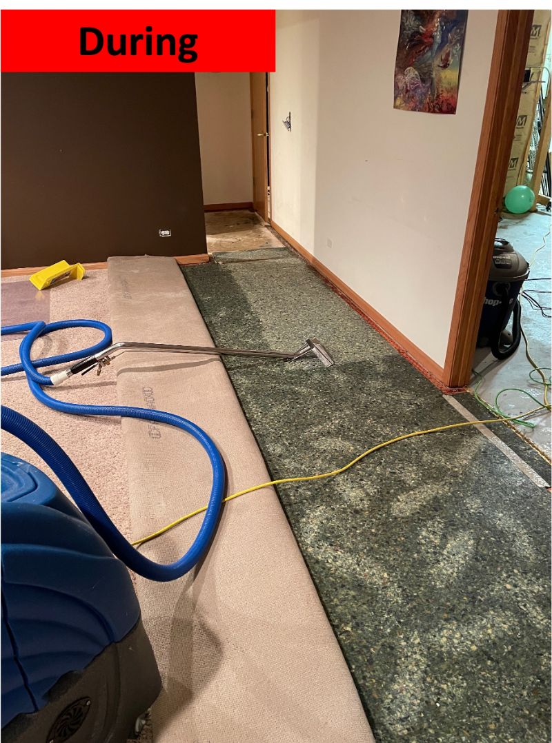 A carpet cleaning machine is being used to clean the carpet